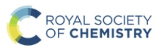 royal_society